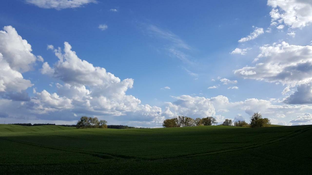 Am Sternhagener Lindenhagen